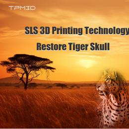 SLS 3D Printing Technology Restore Tiger Skull
