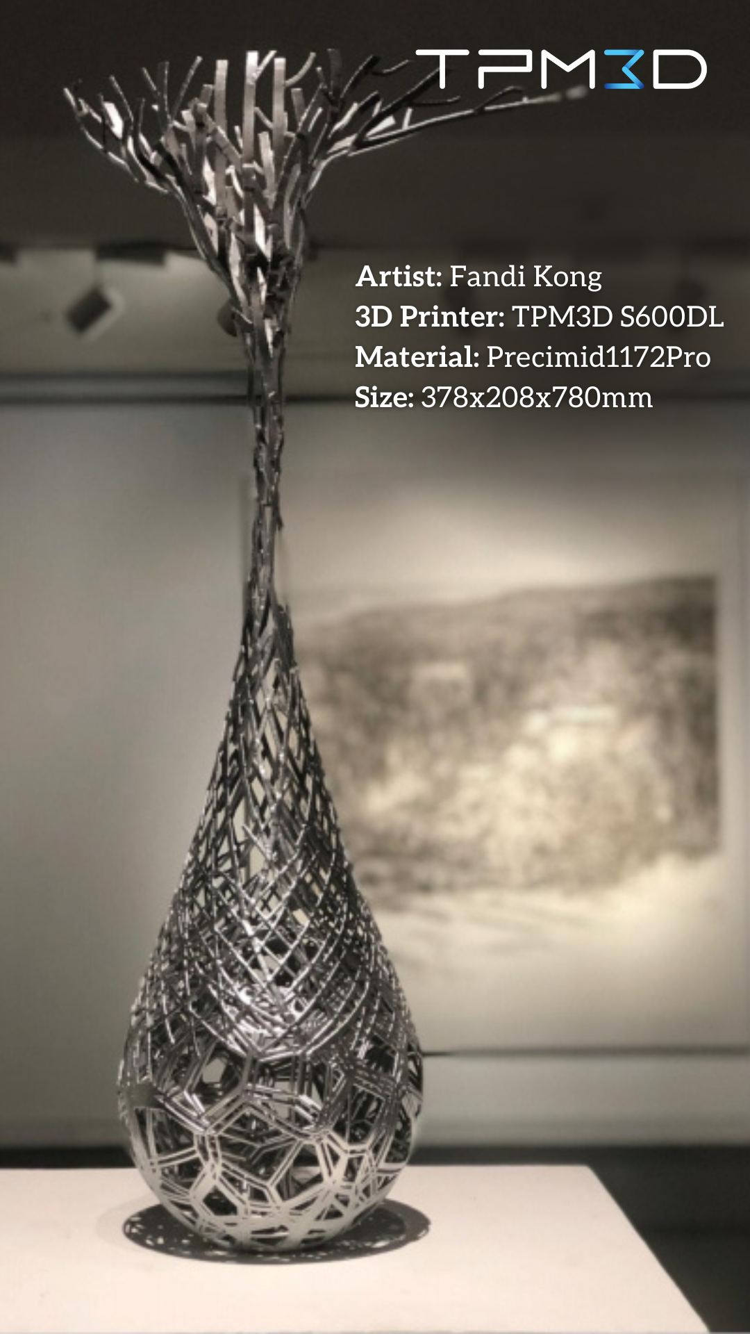 3D printed sculpture with SLS technology, an artwork by Fandi Kong