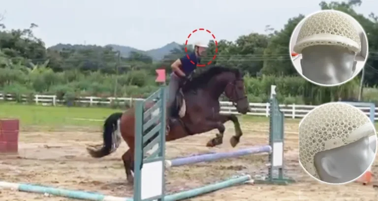 Equestrian helmet in field test