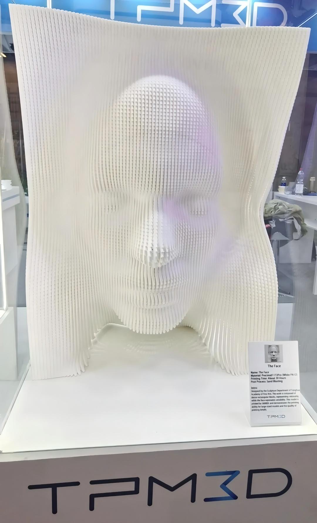 3D printed sculpture Face with SLS technology