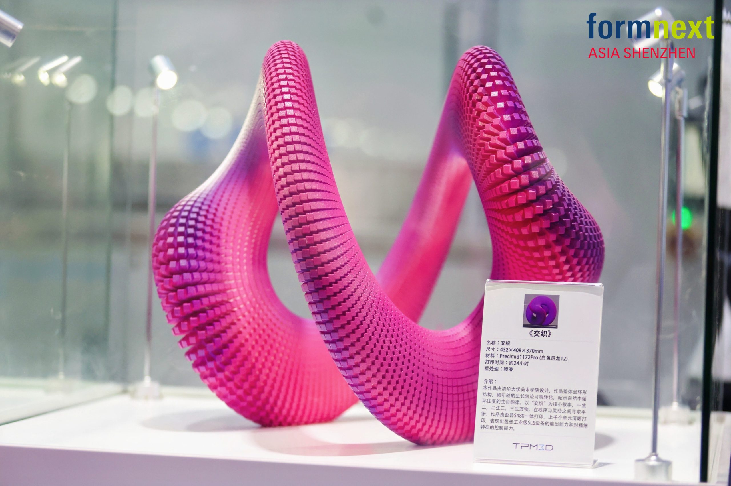 Sculpture Intertwined designed by Tsinghua University students and printed with TPM3D's printers